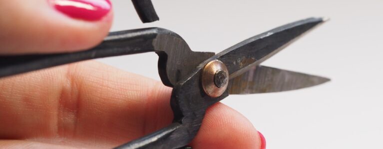 pexels-jess-bailey-designs-791159